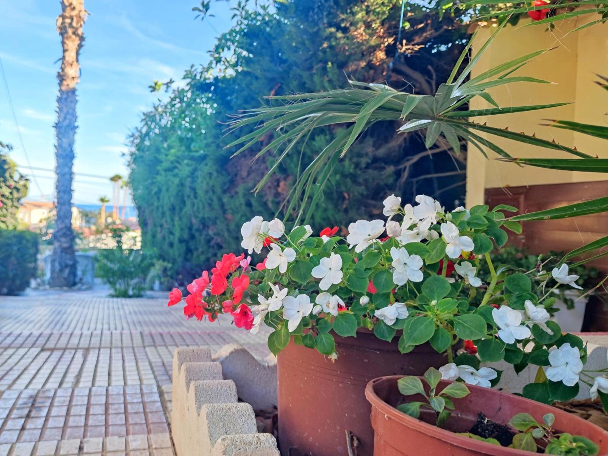 Vakantiehuis Casona Del Mar Terraza Y Vistas Al Mediterraneo El Campello